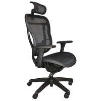 Aloria Series Mesh Office Chair with Headrest